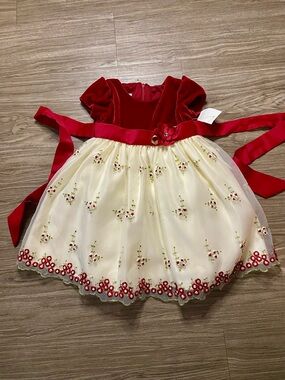 Cinderella Burgundy Velvet Holiday Dress w/ Embroidered Skirt – Girls 24M